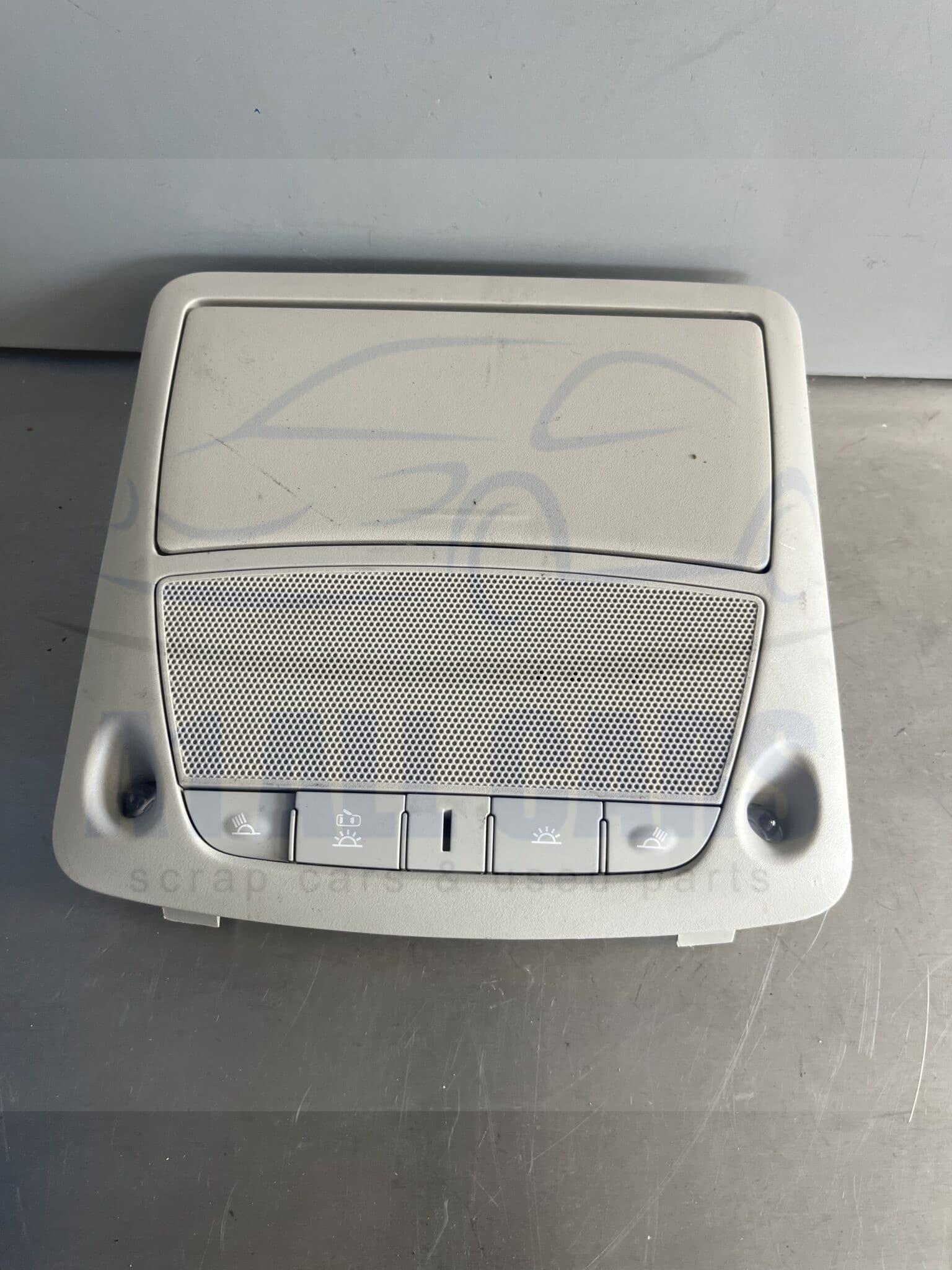 Nissan Leaf 2010-2017 Interior Light / Sunglasses Holder